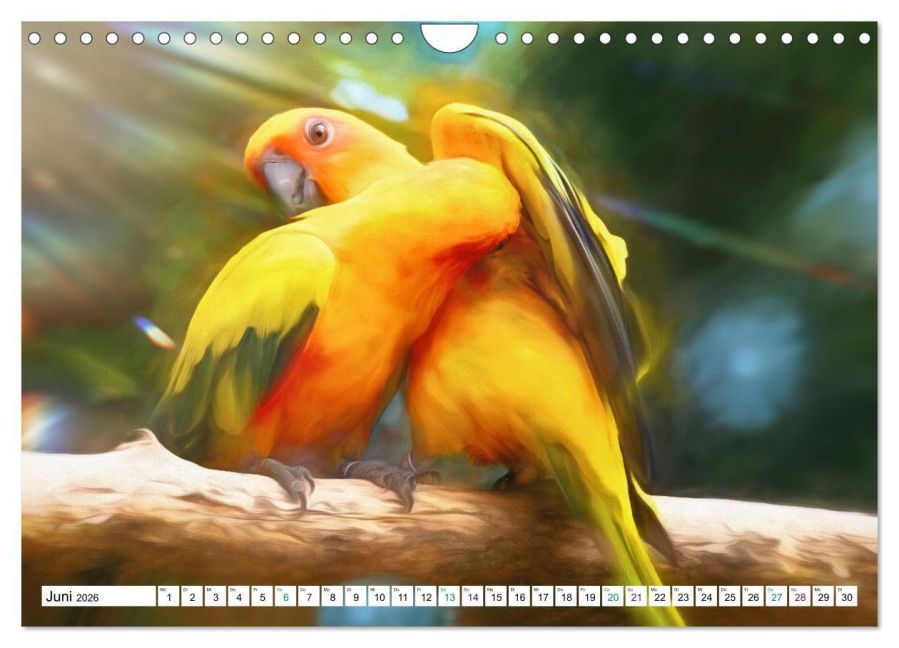 InsideView 11