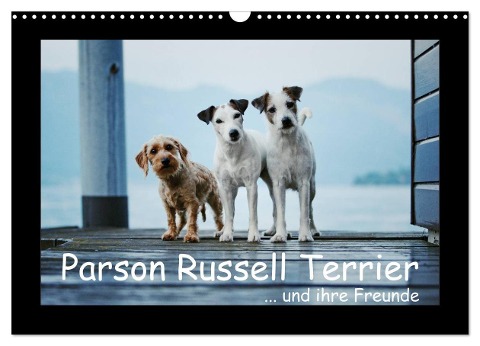 Parson Russell Terrier (Wandkalender 2024 DIN A3 quer), CALVENDO Monatskalender - Kathrin Köntopp