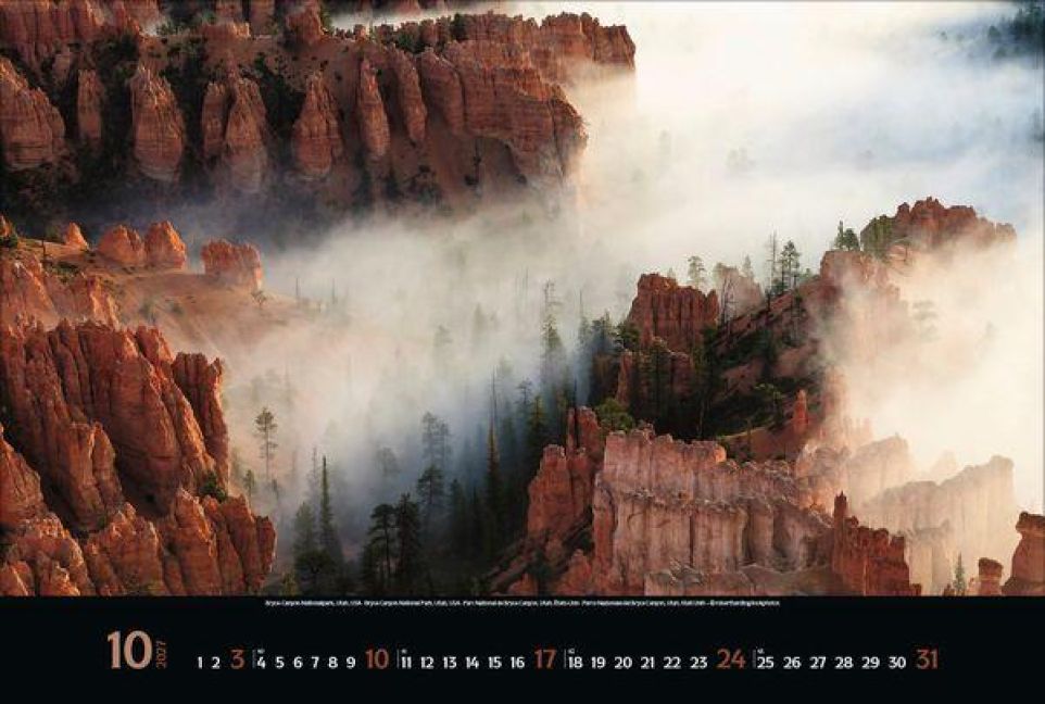 InsideView 10