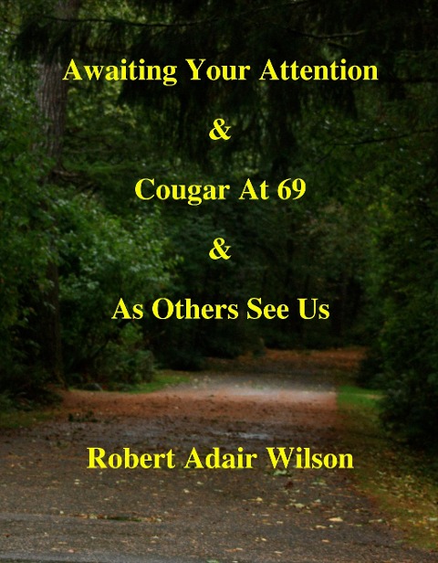 Awaiting Your Attention & Cougar At 69 & As Others See Us - Robert Adair Wilson