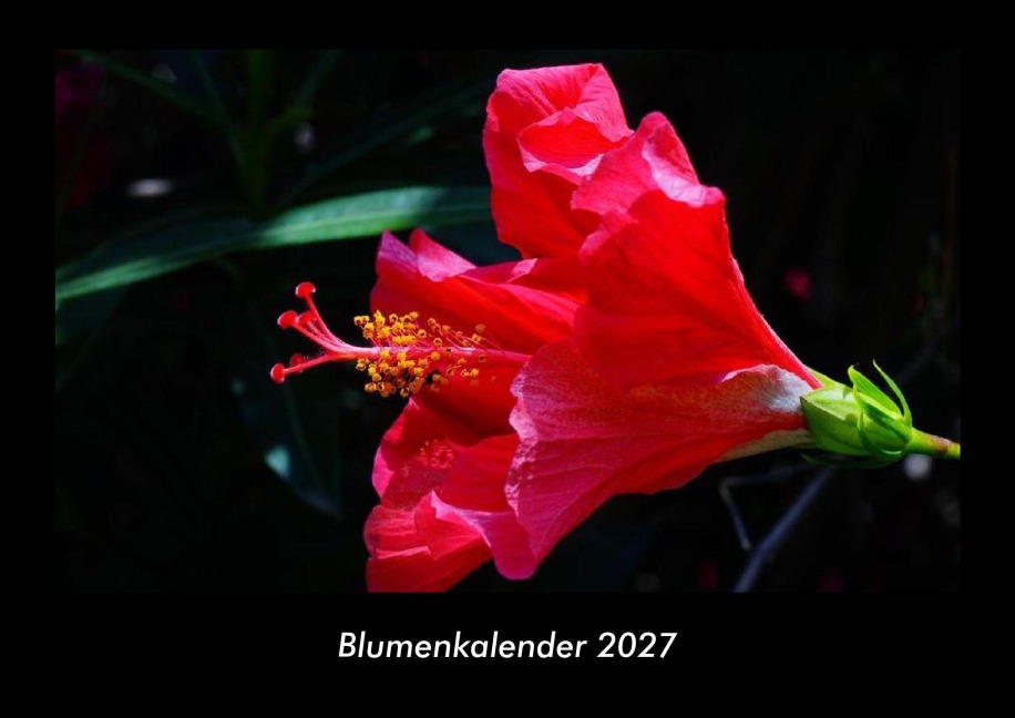 Blumenkalender 2027 Fotokalender DIN A3 - Tobias Becker