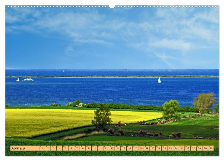 InsideView 8