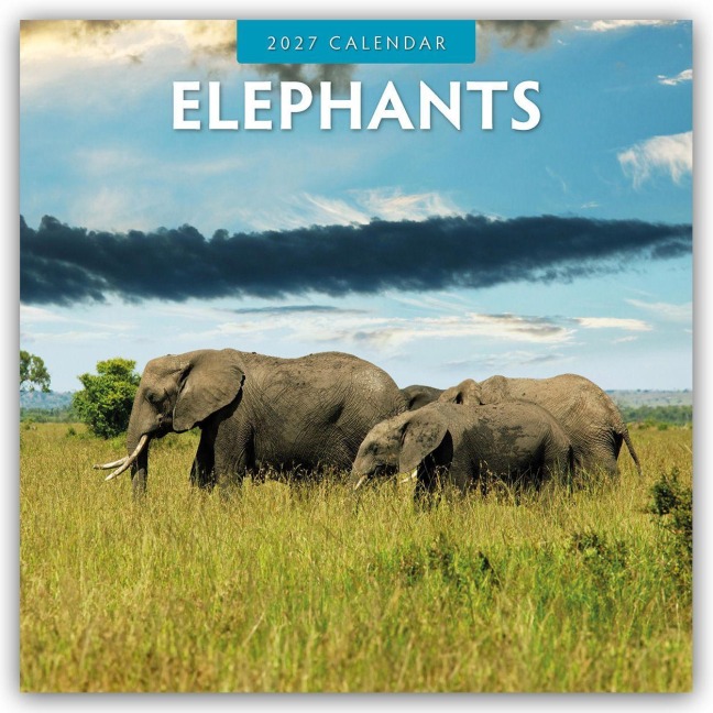 Elephants - Elefanten 2027 - 16-Monatskalender - Robin Red