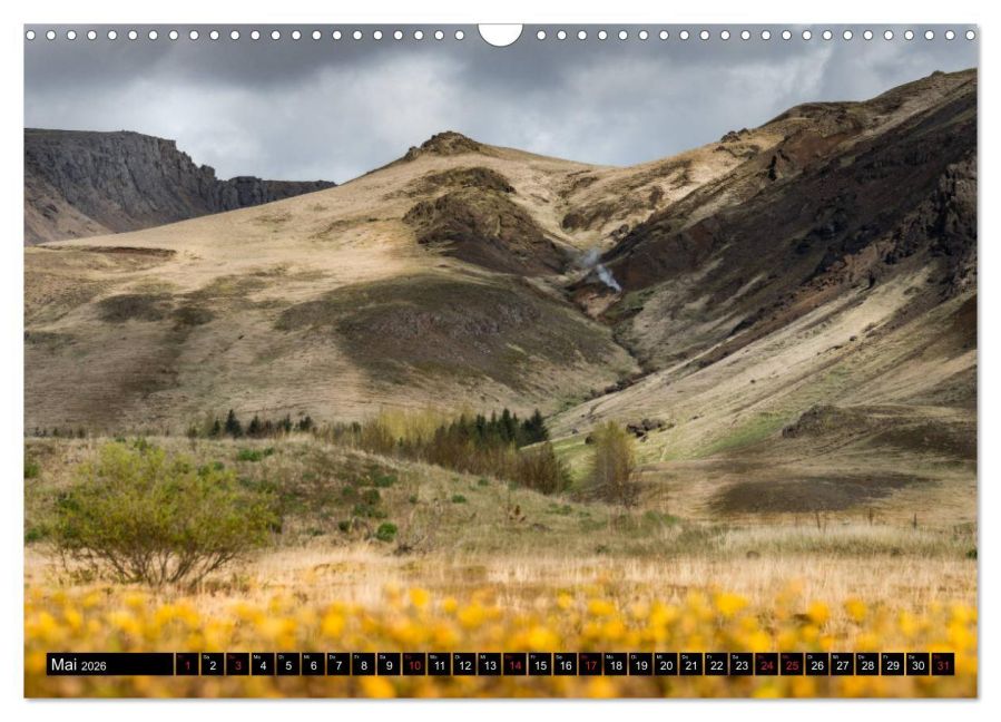 InsideView 10