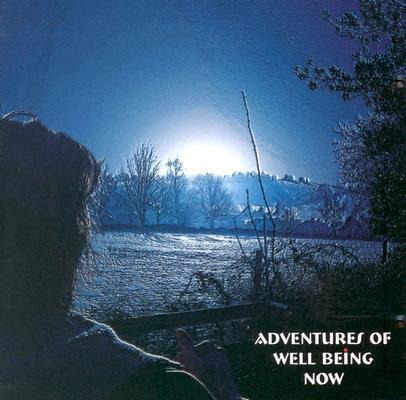 Adventures of Well Being Now - Nick Kemp