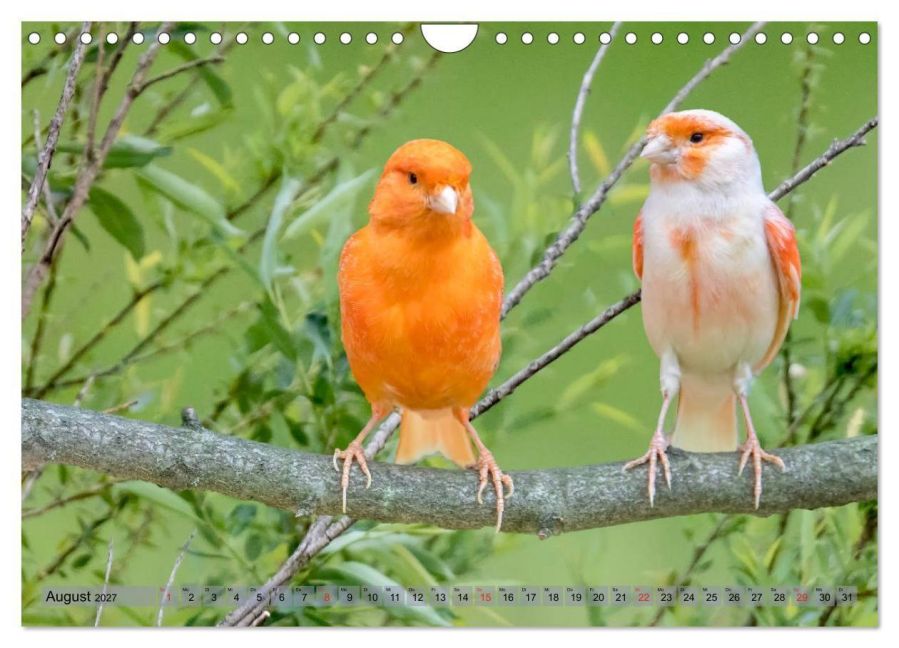 InsideView 13
