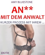 Cover-Bild zum Titel 'An** mit dem Anwalt' von 'Amy Bluestone'