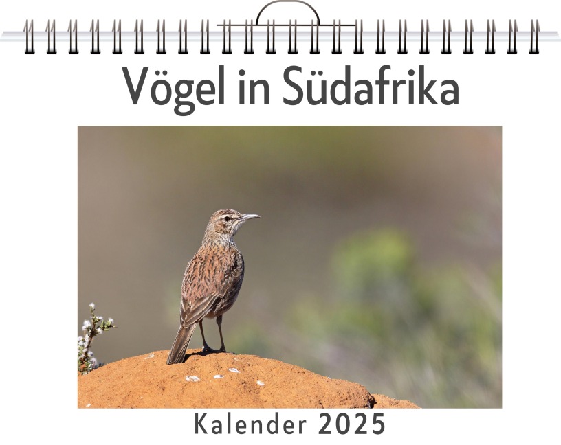 Vögel in Südafrika - Nele Lange