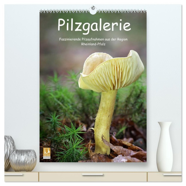 Pilzgalerie - Faszinierende Pilzaufnahmen aus der Region Rheinland-Pfalz (hochwertiger Premium Wandkalender 2026 DIN A2 hoch), Kunstdruck in Hochglanz - Beate Wurster