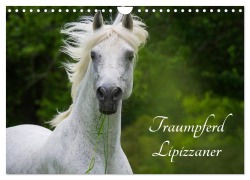 Cover-Bild zum Titel 'Traumpferd Lipizzaner (Wandkalender 2027 DIN A4 quer), CALVENDO Monatskalender' von 'Sigrid Starick'