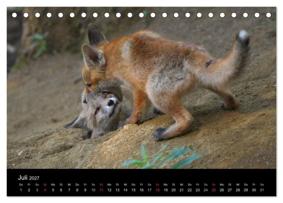 InsideView 12
