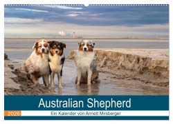Australian Shepherd 2026 (Wandkalender 2026 DIN A2 quer), CALVENDO Monatskalender - Annett Mirsberger