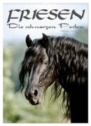 Cover-Bild zum Titel 'Friesen - die schwarzen Perlen (Wandkalender 2026 DIN A2 hoch), CALVENDO Monatskalender' von 'Ramona Dünisch - Www. Ramona-Duenisch. De'