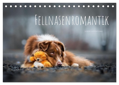 Fellnasenromantik (Tischkalender 2024 DIN A5 quer), CALVENDO Monatskalender - Bettina Dittmann