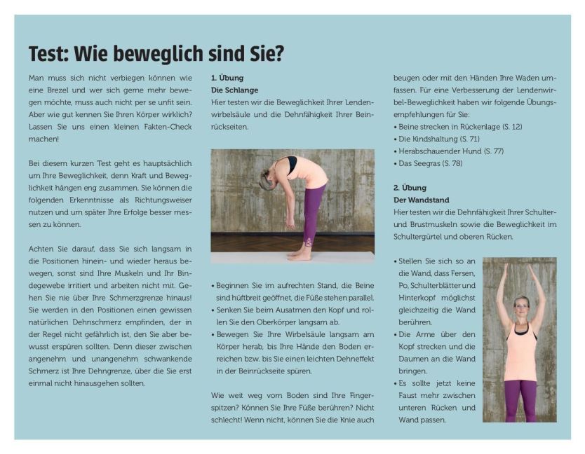 InsideView 5