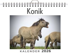 Cover-Bild zum Titel 'Konik' von 'Emily Möller'