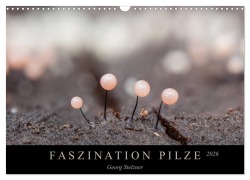 Cover-Bild zum Titel 'FASZINATION PILZE 2026 (Wandkalender 2026 DIN A3 quer), CALVENDO Monatskalender' von 'Georg Stelzner'