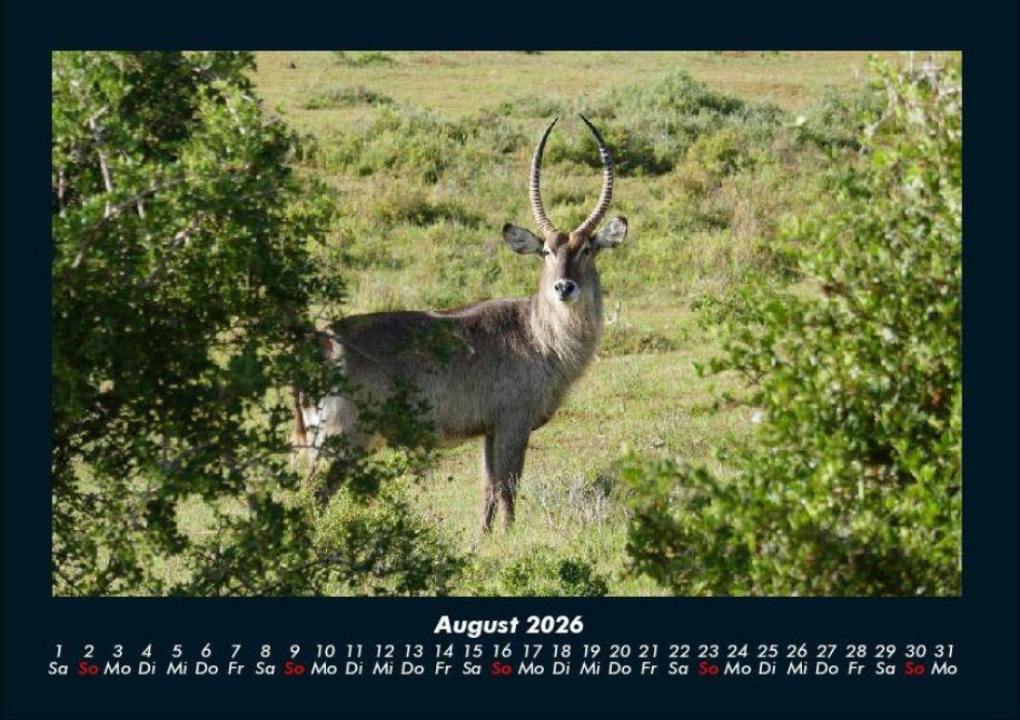 InsideView 12