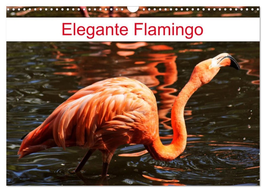 Elegante Flamingo (Wandkalender 2026 DIN A3 quer), CALVENDO Monatskalender - Kattobello Kattobello