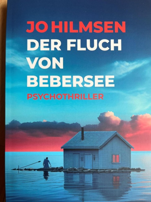 Der Fluch von Bebersee - Jo Hilmsen