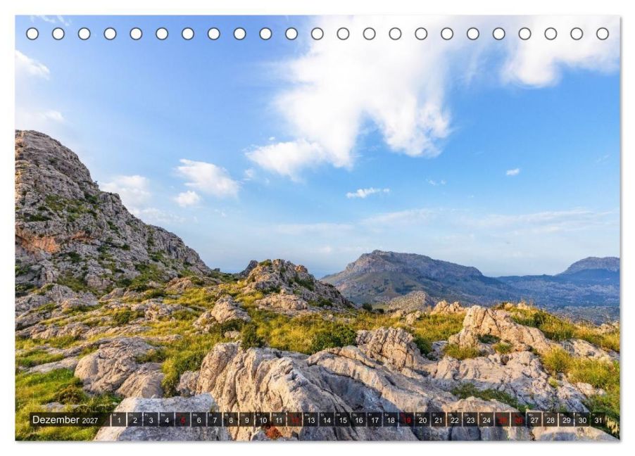 InsideView 4