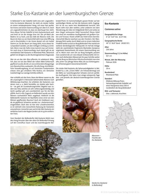 InsideView 4