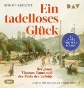 Ein tadelloses Glück. Der junge Thomas Mann und der Preis des Erfolgs - 150 Jahre Thomas Mann - Heinrich Breloer, Hans P. Ströer