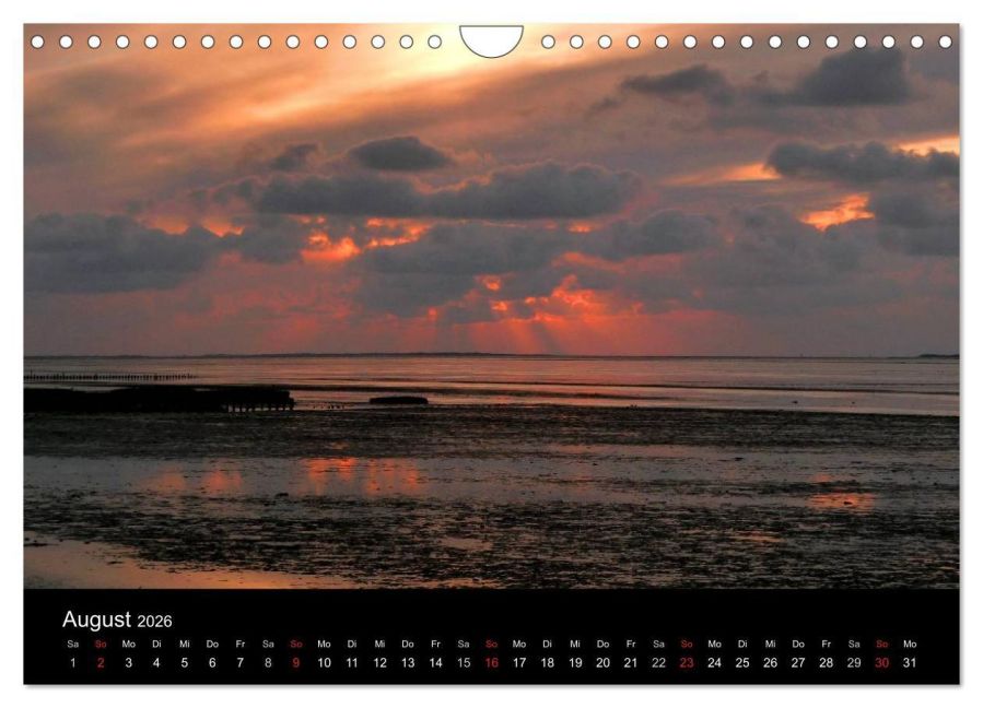 InsideView 13