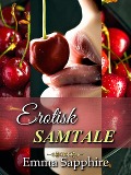 Cover-Bild zum Titel 'Erotisk Samtale (Park Avenue (Norwegian), #1)' von 'Emma Sapphire'