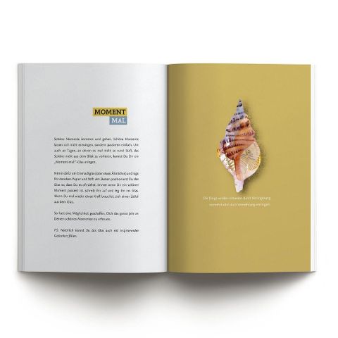 InsideView 4
