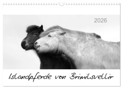 Islandpferde von Brimilsvellir (Wandkalender 2026 DIN A3 quer), CALVENDO Monatskalender - Jutta Albert