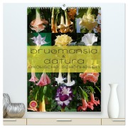 Cover-Bild zum Titel 'Brugmansia & Datura - Exotische Schönheiten (hochwertiger Premium Wandkalender 2026 DIN A2 hoch), Kunstdruck in Hochglanz' von 'Martina Cross'