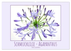 Schmucklilie - Agapanthus (Wandkalender 2026 DIN A2 quer), CALVENDO Monatskalender - Gisela Kruse