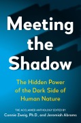 Cover-Bild zum Titel 'Meeting the Shadow' von ''