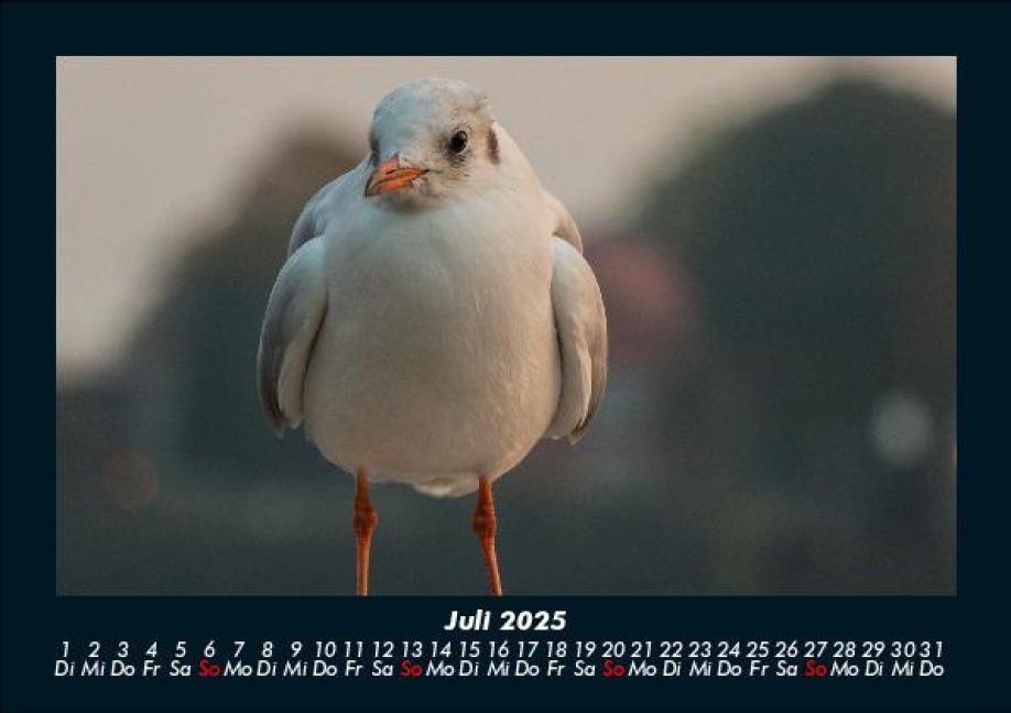 InsideView 11