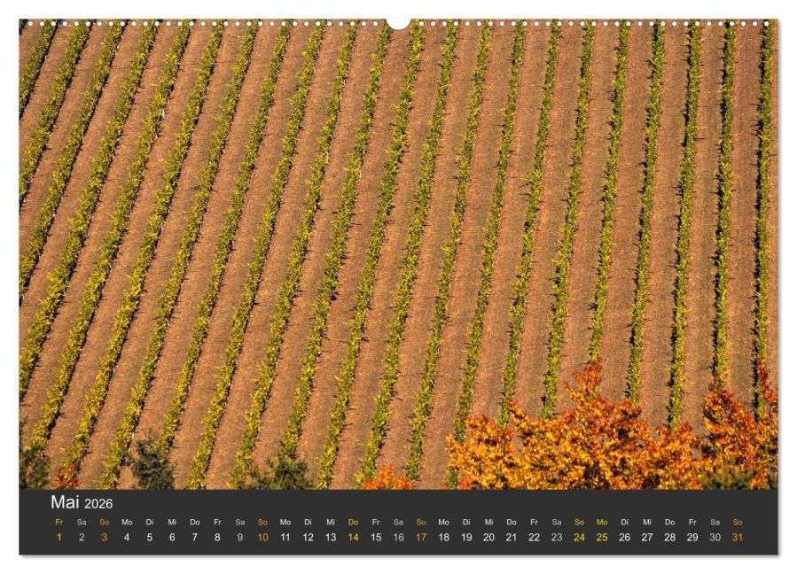 InsideView 9