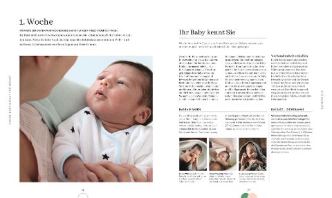 InsideView 3
