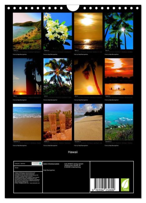 InsideView 5