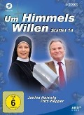 Cover-Bild zum Titel 'Um Himmels Willen' von 'Michael Baier, Birger Heymann, Arnold Fritzsch, Philipp F. Kölmel, Nik Reich'