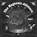 Cover-Bild zum Titel 'Hog Wild' von 'Hogtown Allstars'