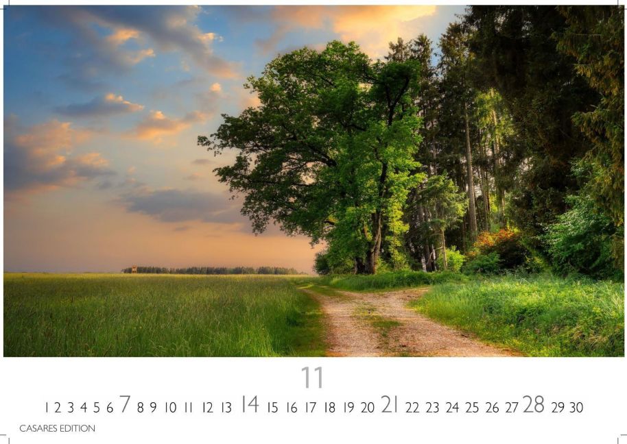InsideView 11