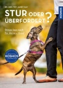 Cover-Bild zum Titel 'Stur oder überfordert?' von 'Janey May'