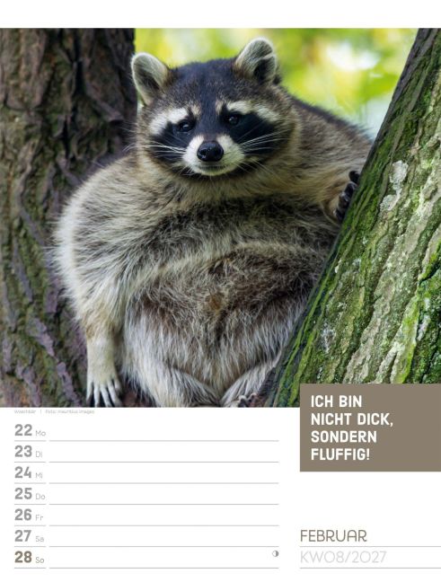 InsideView 12