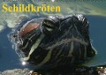 Schildkröten (Wandkalender immerwährend DIN A2 quer) - Elisabeth Stanzer