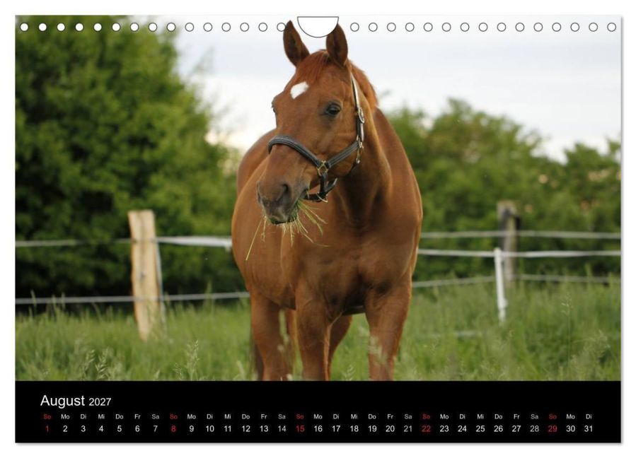 InsideView 13