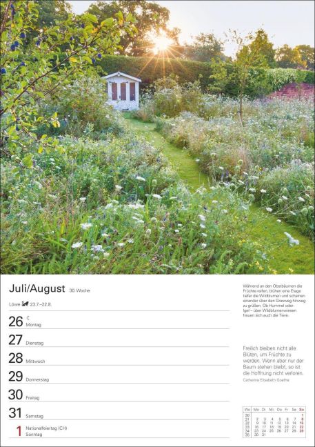 InsideView 11