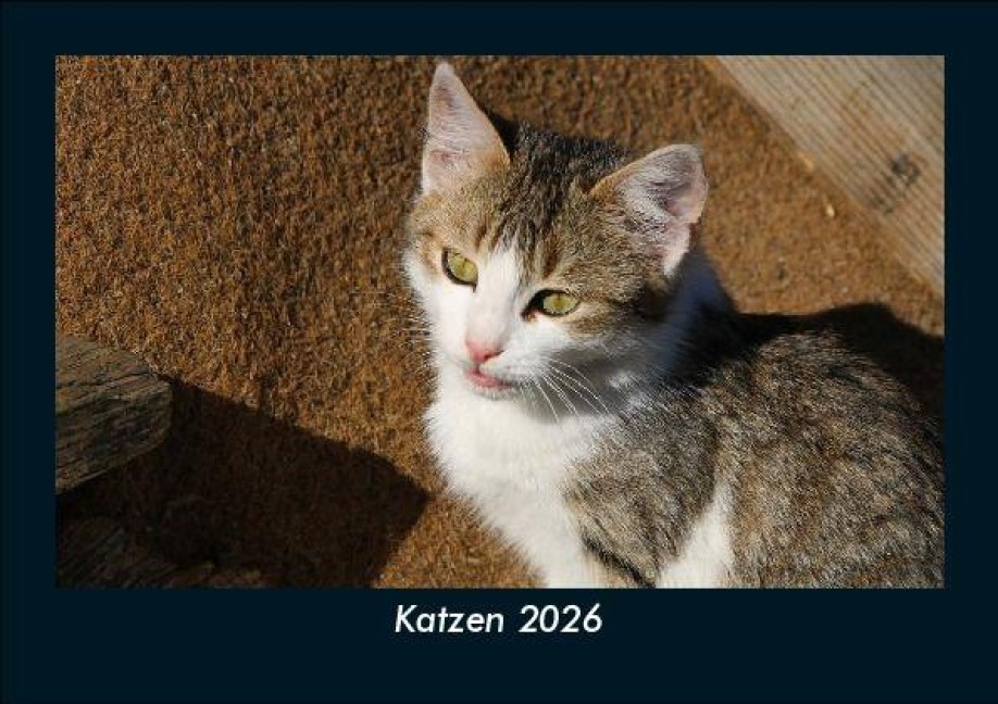 Katzen 2026 Fotokalender DIN A5 - Tobias Becker