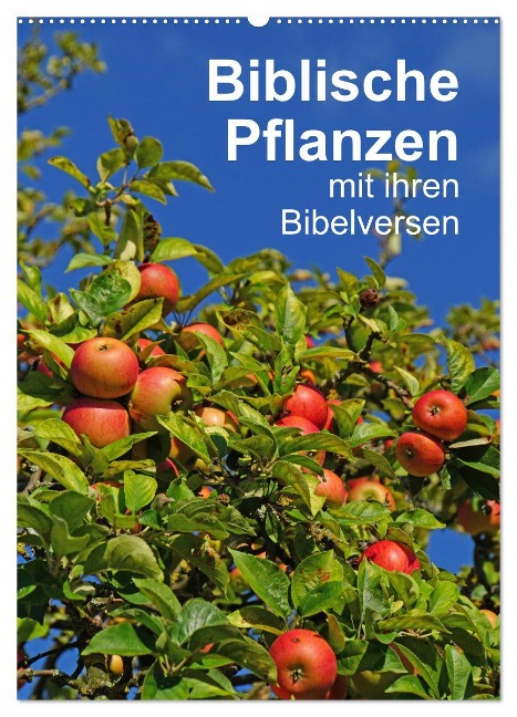 Biblische Pflanzen mit ihren Bibelversen (Wandkalender 2025 DIN A2 hoch), CALVENDO Monatskalender - Hans-Georg Vorndran