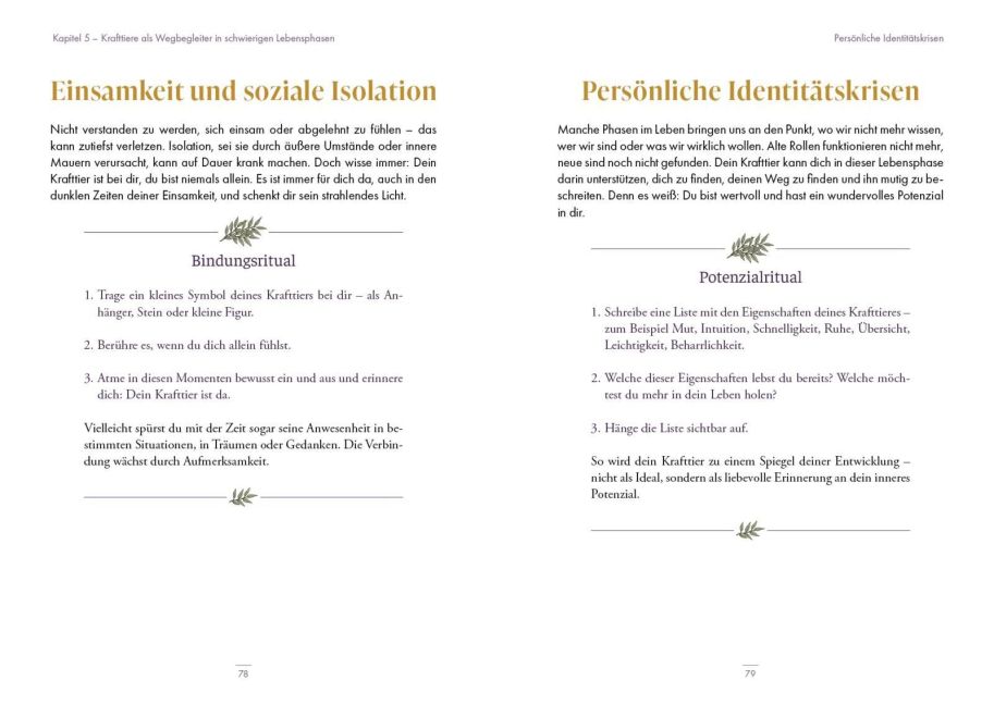 InsideView 5