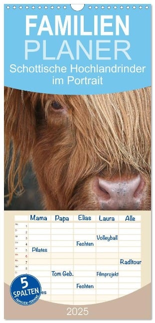 Familienplaner 2025 - Schottische Hochlandrinder - Highland Cattle im Portrait mit 5 Spalten (Wandkalender, 21 x 45 cm) CALVENDO - Martina Cross